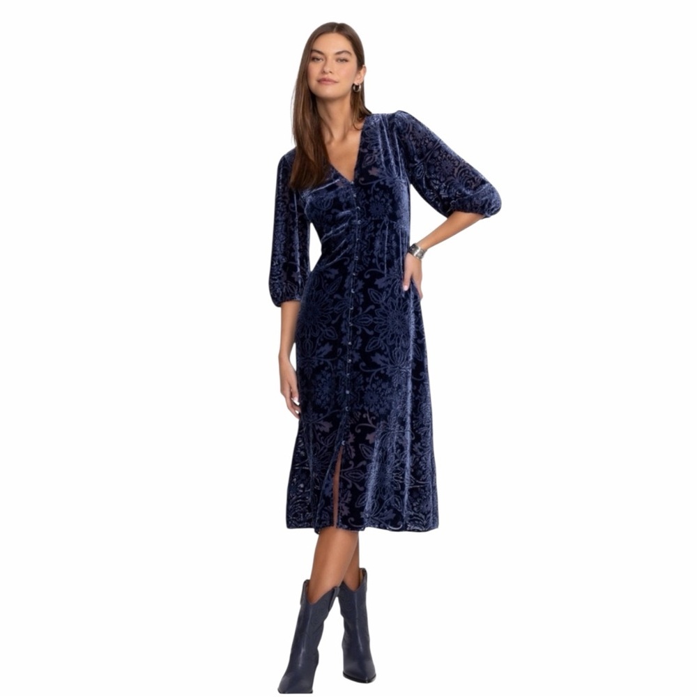 Johnny Was JADE Ryan Silk Velvet Burnout Midi Dress Bohemian Whimsigoth Floral - Picture 3 of 14